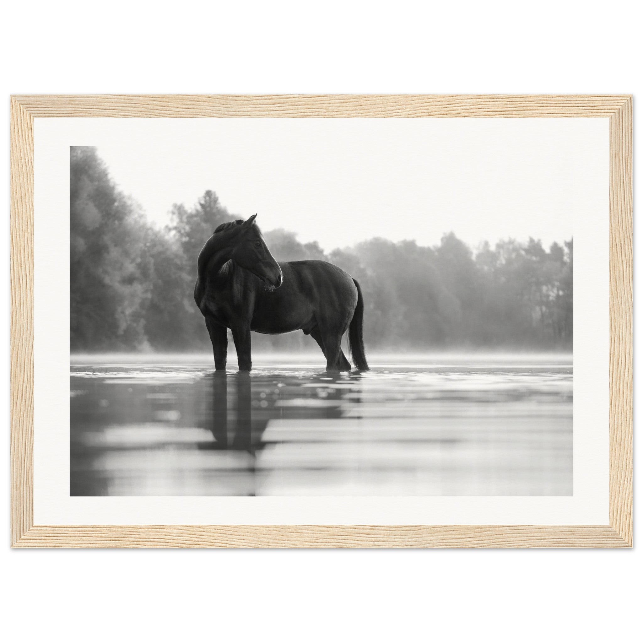 2f6b55fe-edce-45d5-94b0-30d882fa8f61