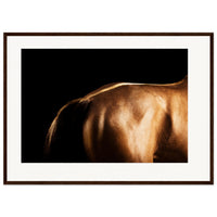 2fc12e35-10ea-495d-8421-ddd050bbcc03