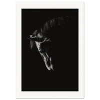 2fc557ca-7688-471d-96eb-54750cf1349d