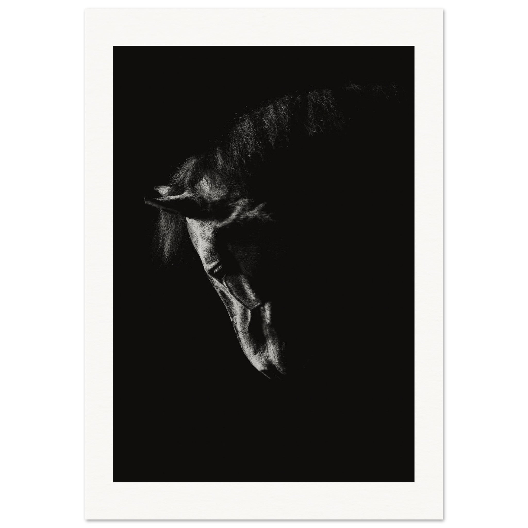 2fc557ca-7688-471d-96eb-54750cf1349d