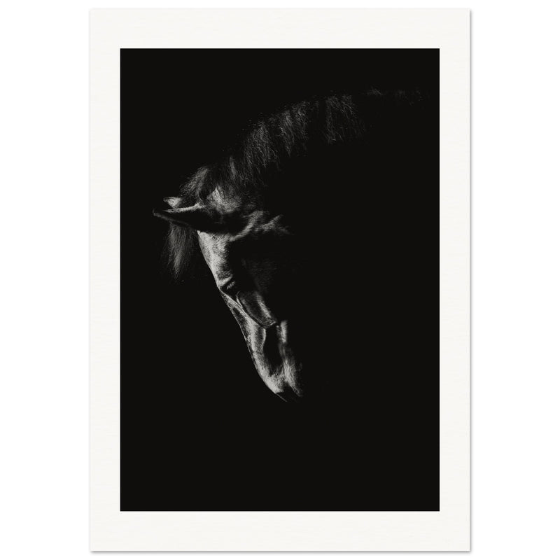 2fc557ca-7688-471d-96eb-54750cf1349d