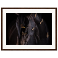 2fc7b823-641b-4ce2-8d2e-67e2f34a39ad