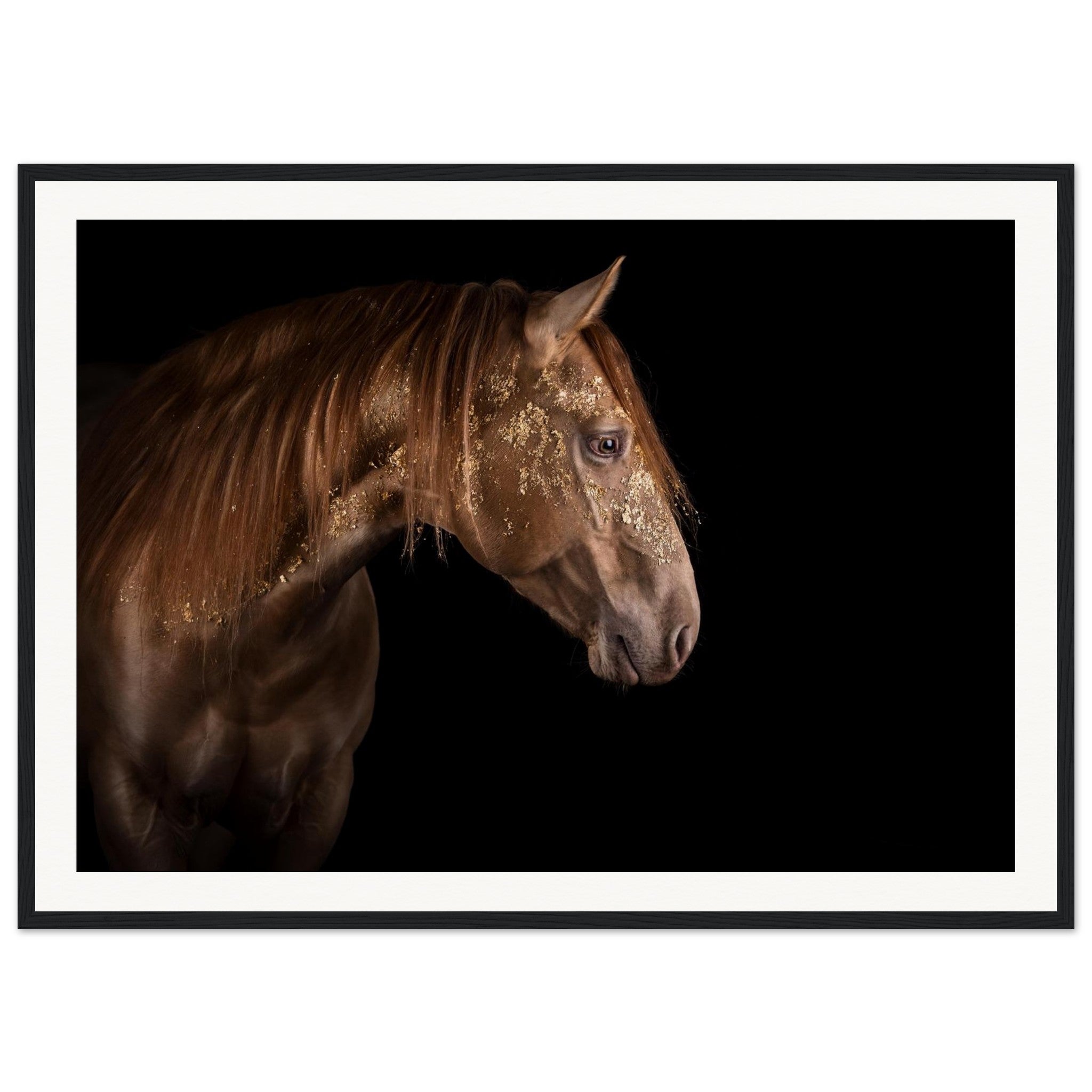 302a070a-8406-46c1-ae8f-690b174b8266