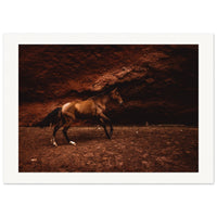 302b7c67-db32-4e3d-a5d8-48f8cac057a7