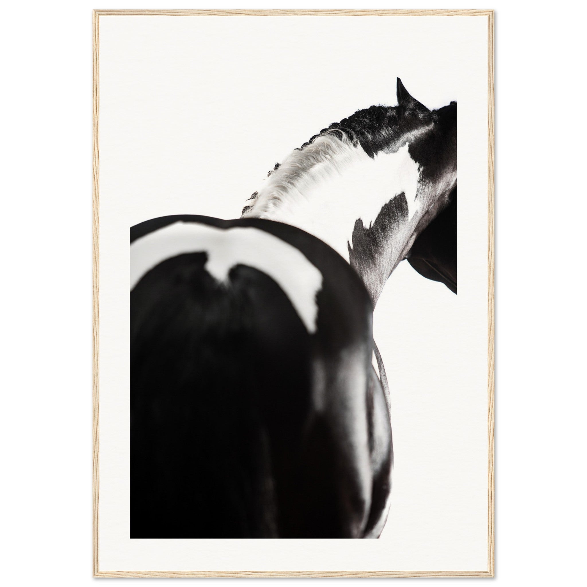 30319135-f0ef-4a7c-8523-233ba180f555