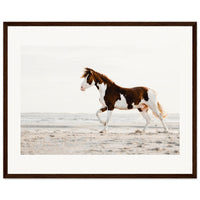 303a8965-6c4c-438a-b5fa-58378661b423