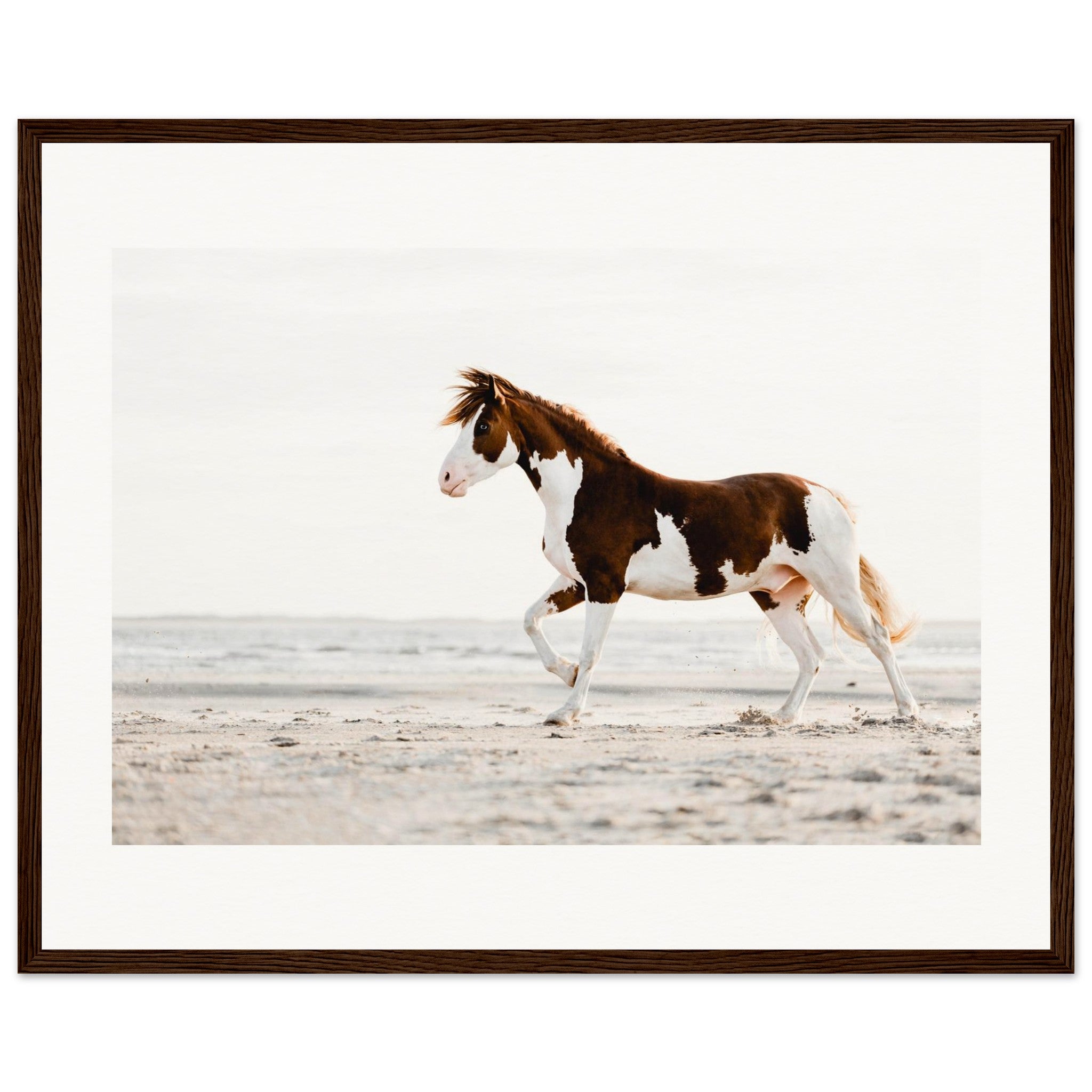 303a8965-6c4c-438a-b5fa-58378661b423