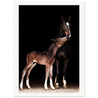 306f4355-b044-4d4a-84e4-ccbd1d5c0191