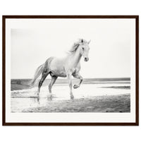 307115f7-2c0a-446e-b9a0-2ff44937bd0d