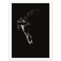 30aad913-177e-4f98-9e72-60916d3fce1b