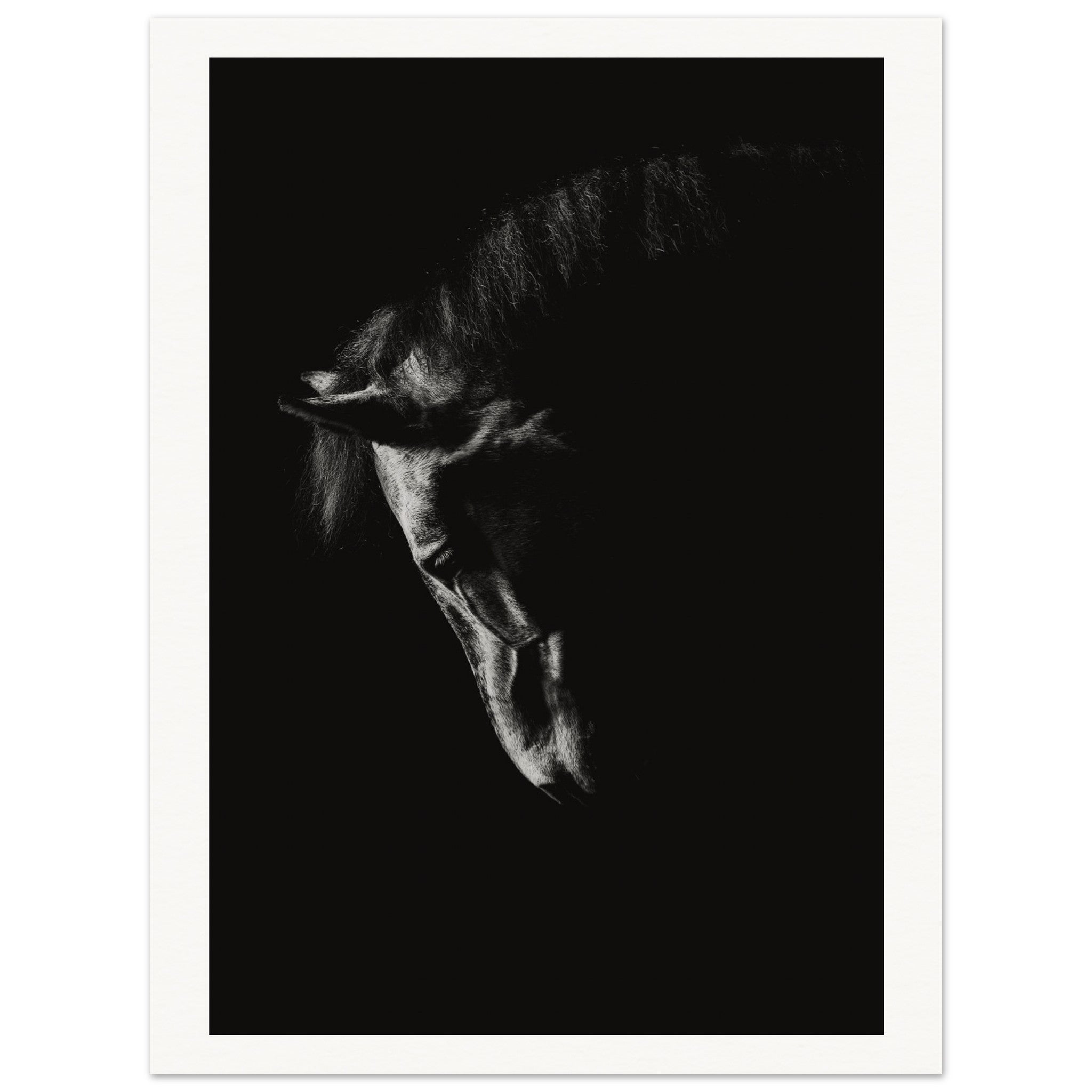 30aad913-177e-4f98-9e72-60916d3fce1b