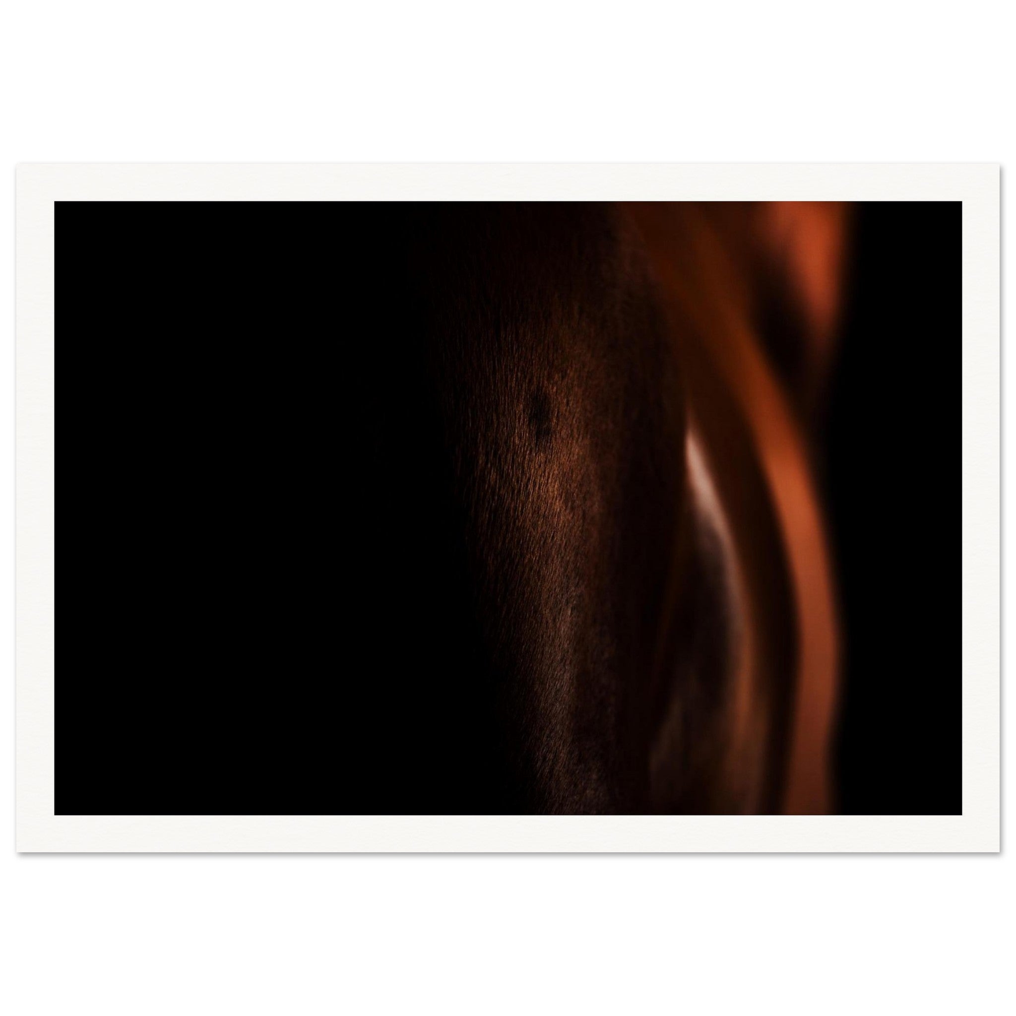 30b501b0-b1bc-4784-90e7-b352d792a603