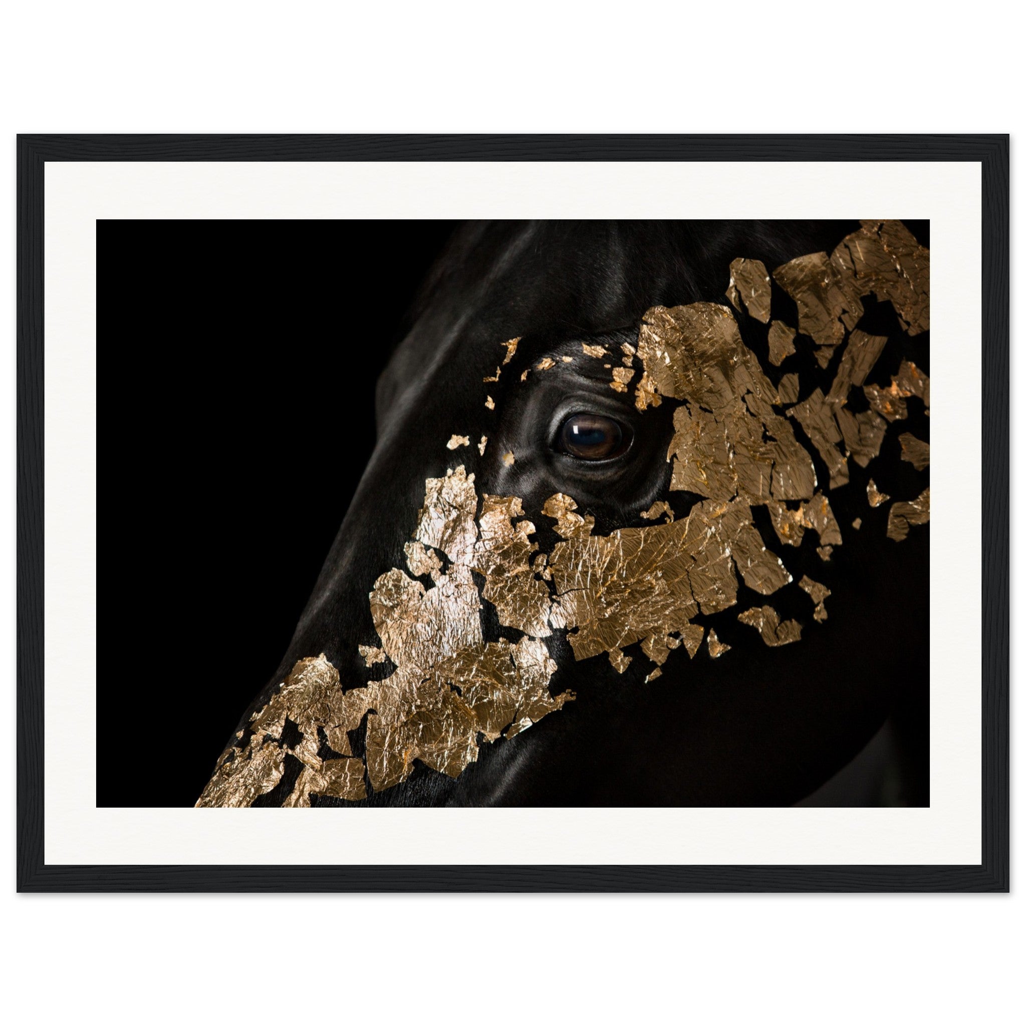 30e3a0c7-7007-49cb-b5f1-d812ec74ce83