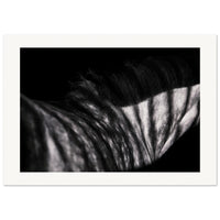 3141c309-761c-4786-82cb-6037ff4c939b