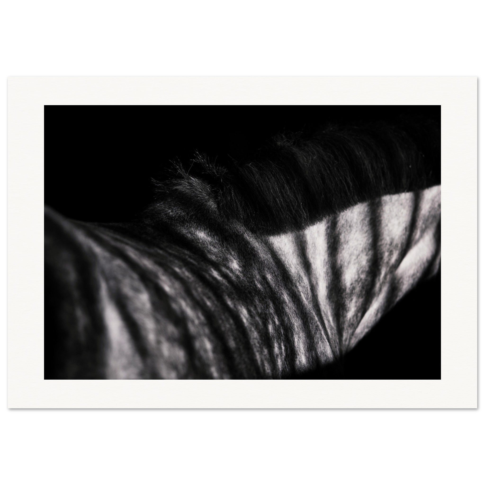 3141c309-761c-4786-82cb-6037ff4c939b