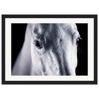 316a7235-664e-41cb-ad8a-676c63bf7b7e