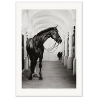 31889aef-4a51-40f5-9e62-17a59d10af2f