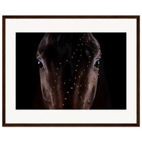 318b3986-970d-43a1-aae9-82d4170bb206