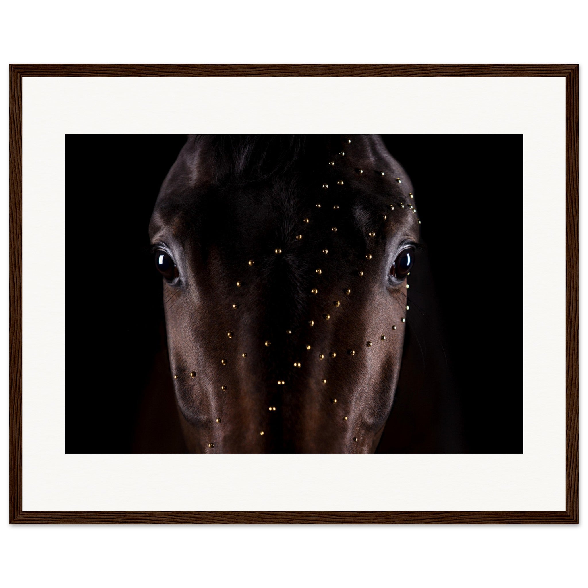 318b3986-970d-43a1-aae9-82d4170bb206