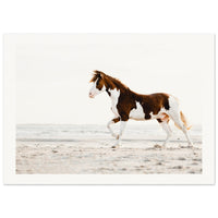 318d72f6-63b4-4954-adce-d0b78186e5fd