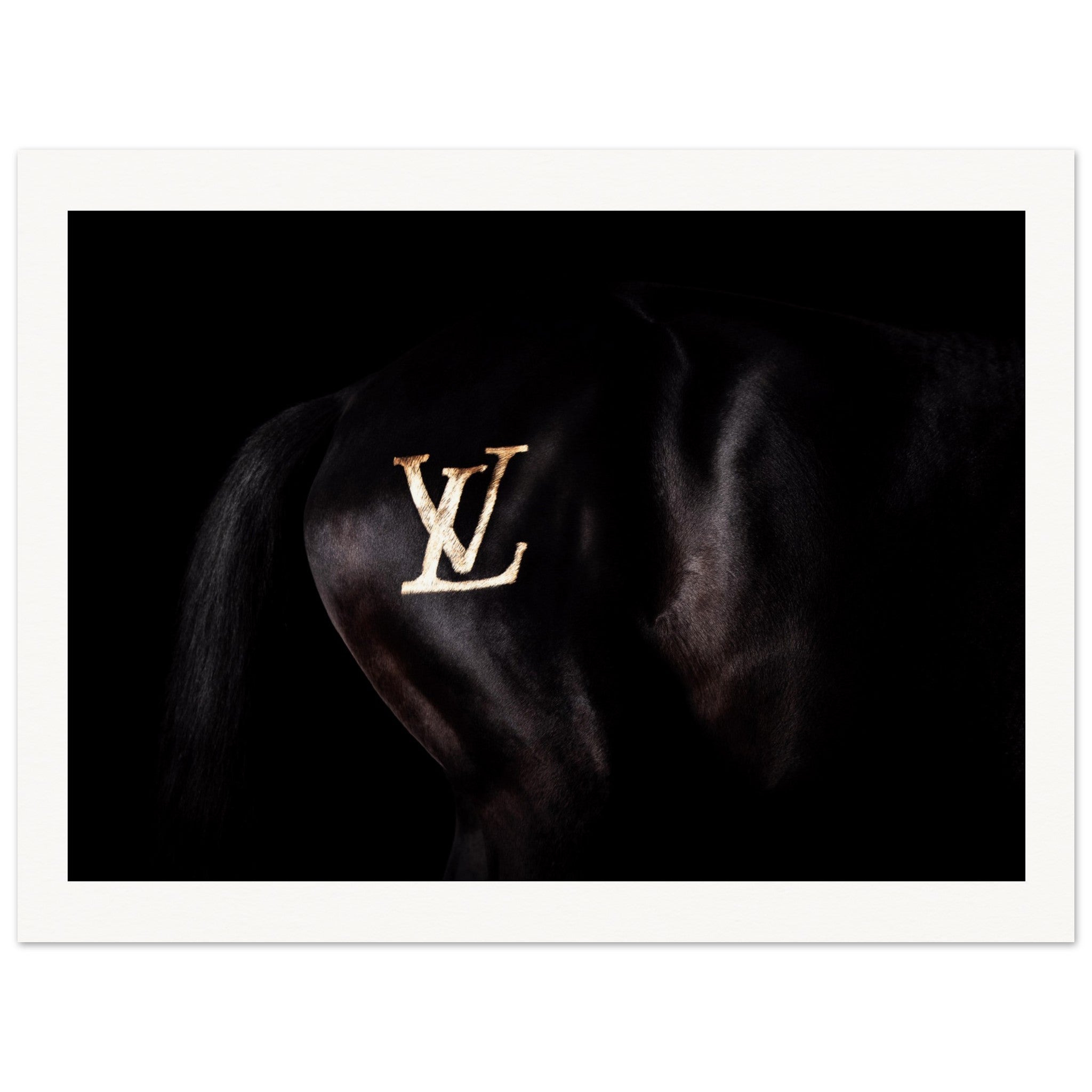 31d32168-ad59-4fc2-86c5-e787471e7cb4