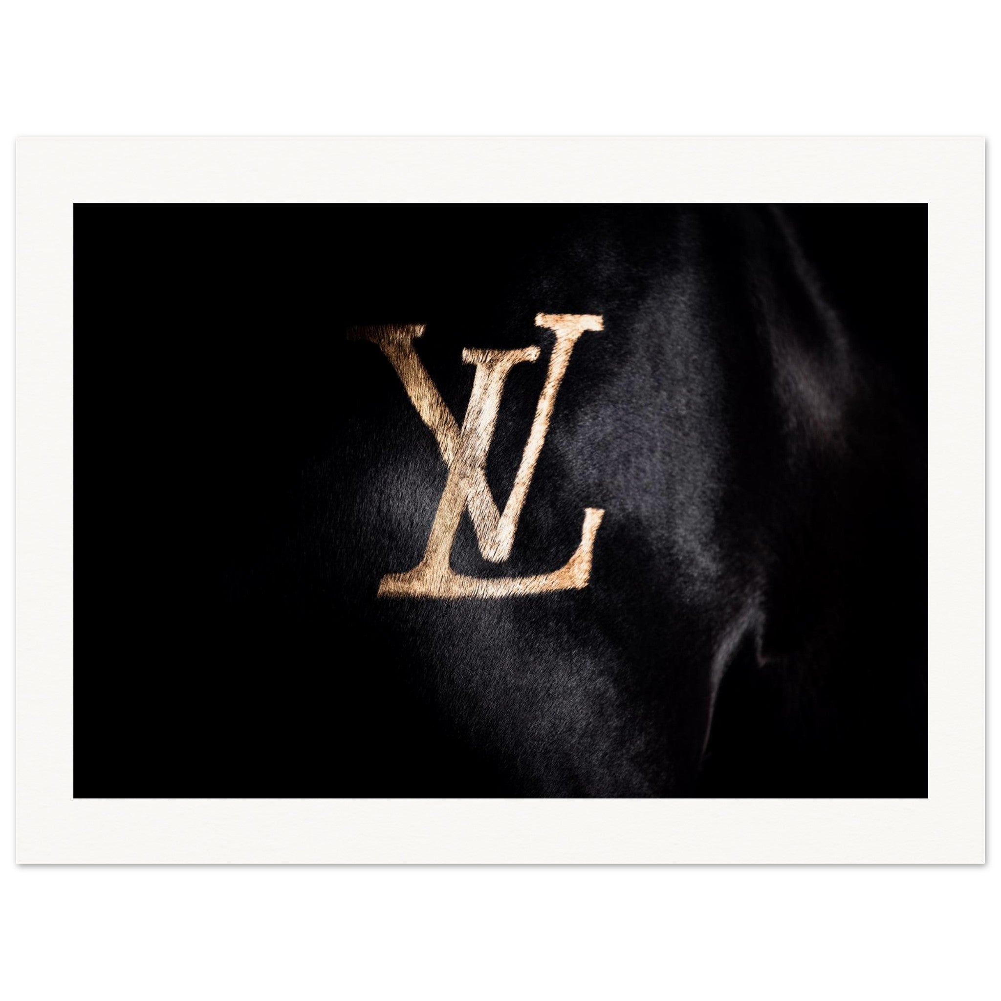 31d5e6cb-ba4c-4079-953d-9421b4ff8e69