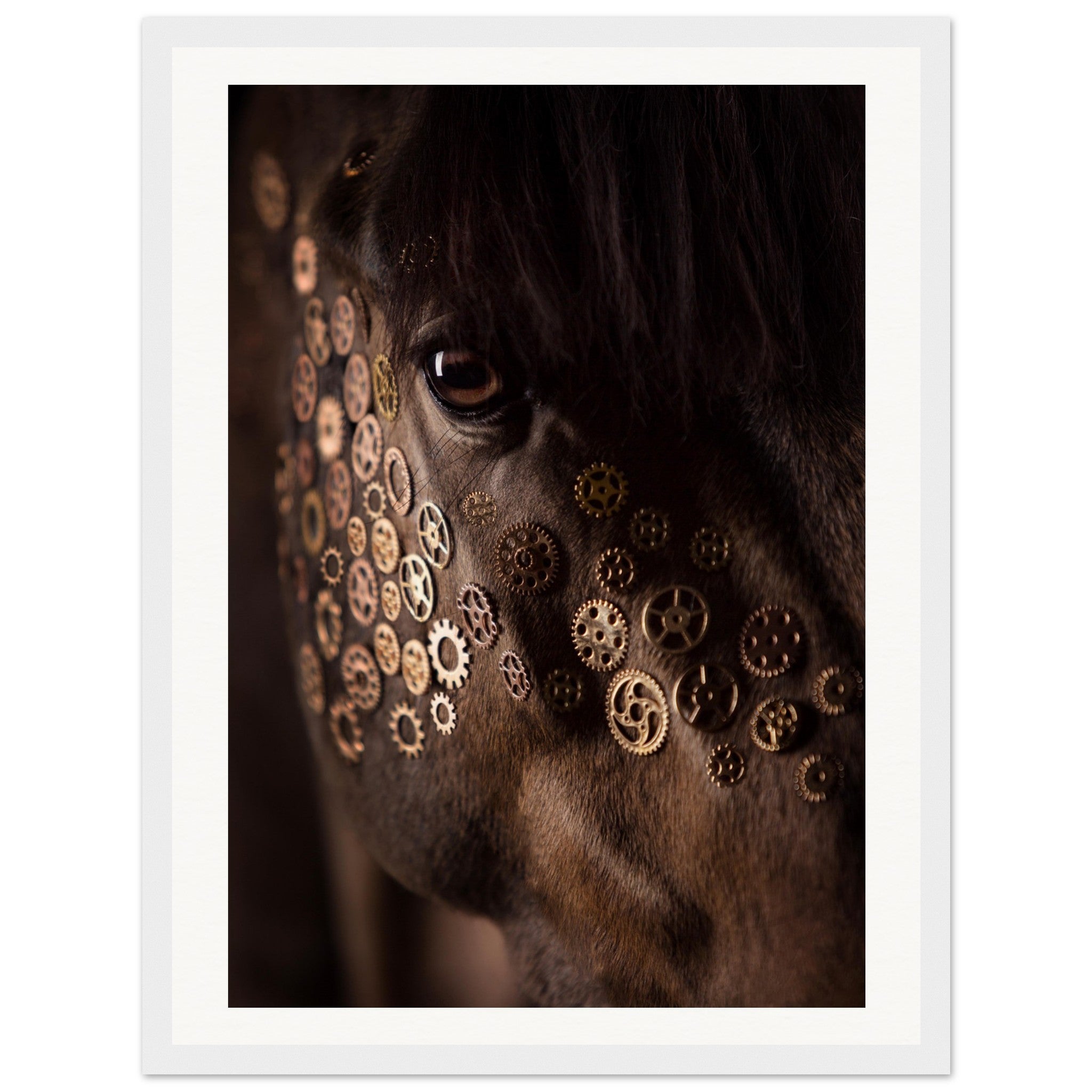 31e32e71-16e5-453f-b3c4-569cd1c572ba