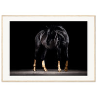 3228ec38-f433-43c4-95c0-b65d394ed335