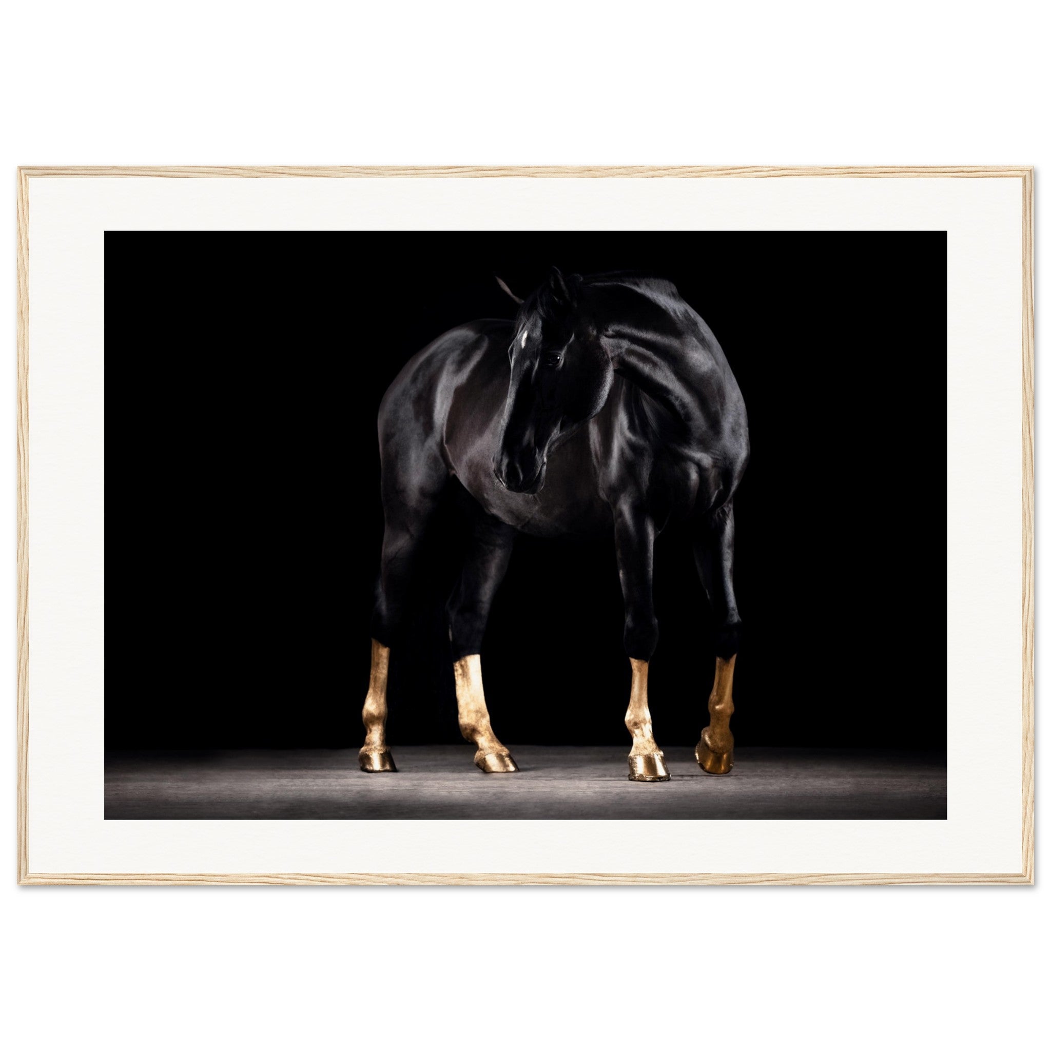 3228ec38-f433-43c4-95c0-b65d394ed335