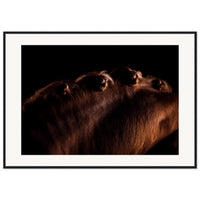 3239d5de-a755-4b2e-98d7-de3e091dc512