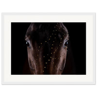 3242ede6-5484-47cf-ab23-be50876928c6