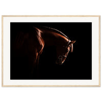 325593ef-38a9-45c7-a6fd-f7d2aebaa31e