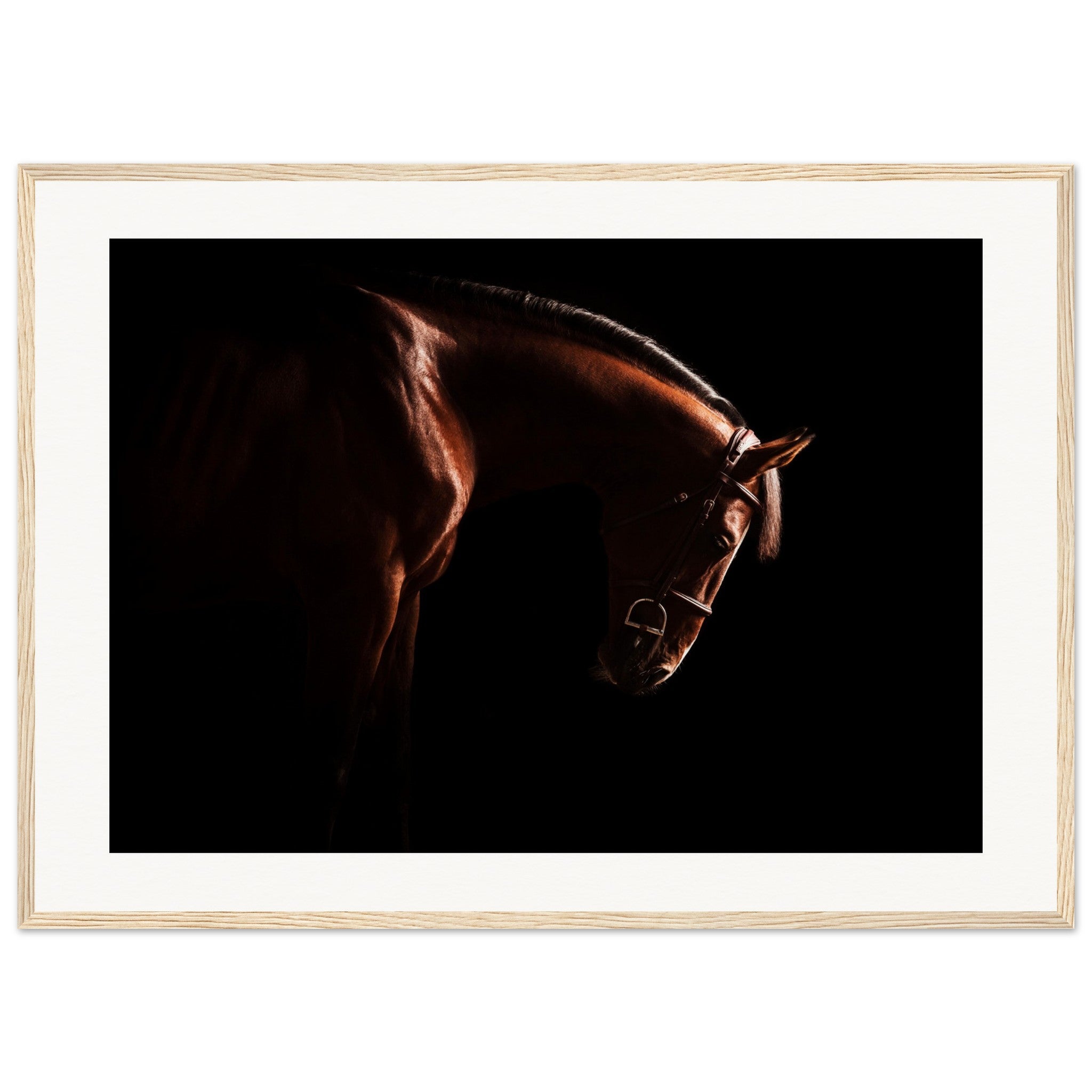 325593ef-38a9-45c7-a6fd-f7d2aebaa31e