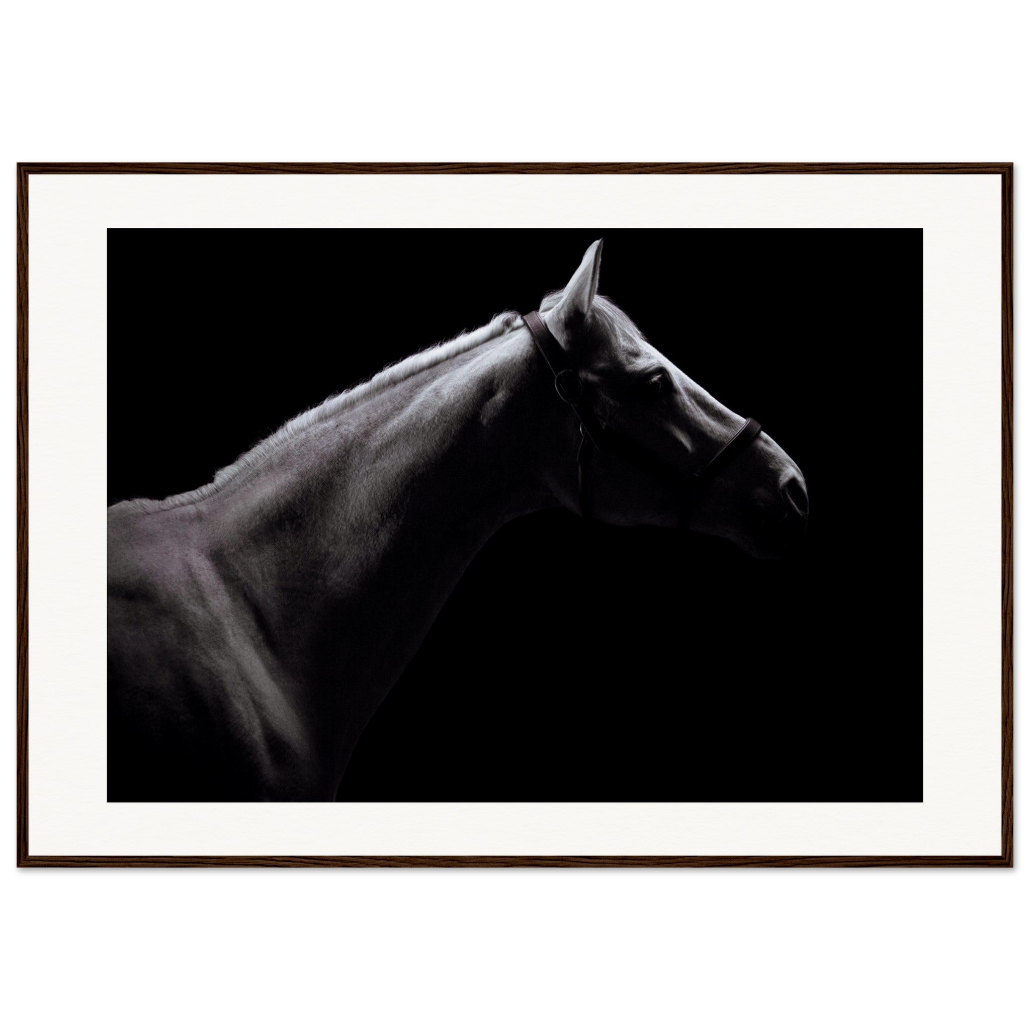 325e7bfe-5afe-418a-ae1f-851e1b90f42a