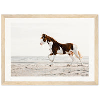 325f007d-45b3-4025-8bdd-63f4bec365bb