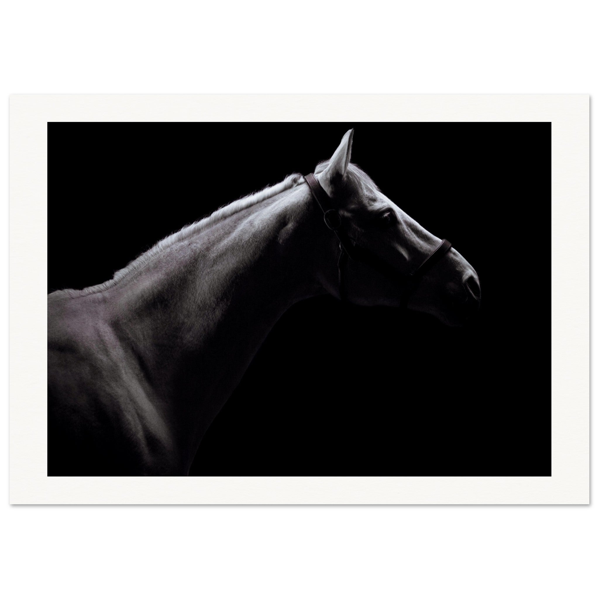 3267f5e0-e5f1-40bd-8ece-595729f4d74a