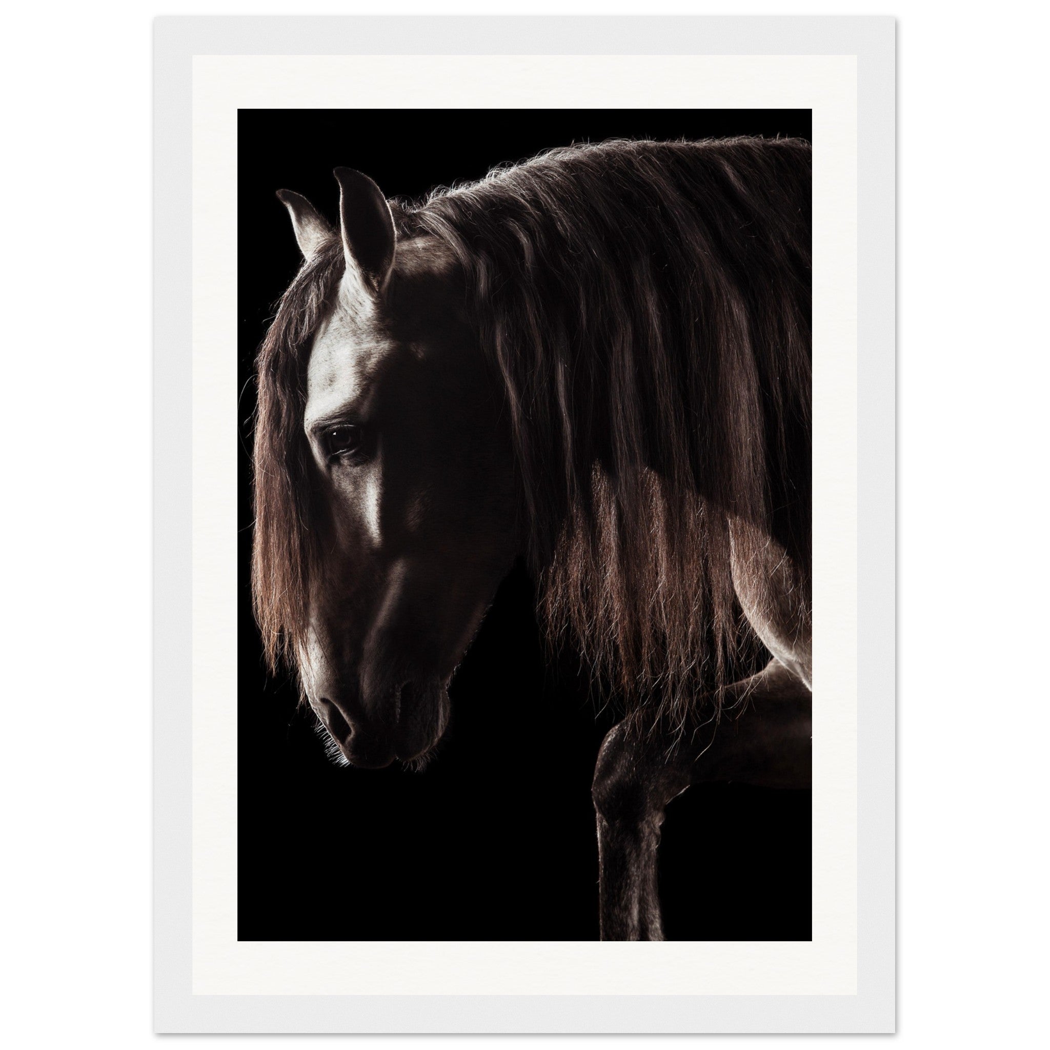 326dbee8-a96a-489e-a4a4-f9d370bfced2