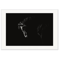 32d56324-4868-4356-8466-a0e5b56e2057