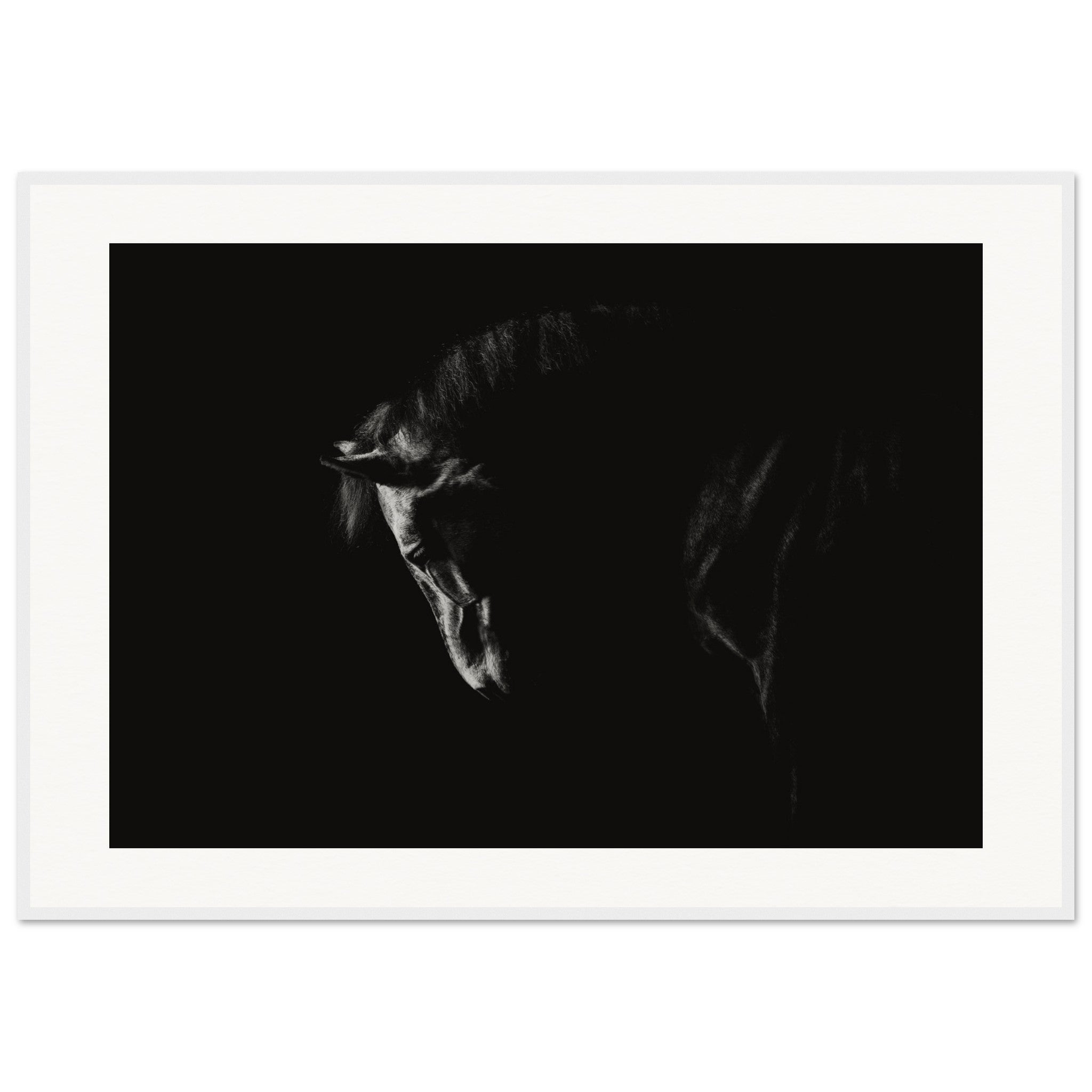 32d56324-4868-4356-8466-a0e5b56e2057