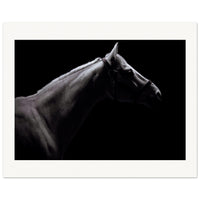 331d7fb2-41fc-499f-943e-36742c389155