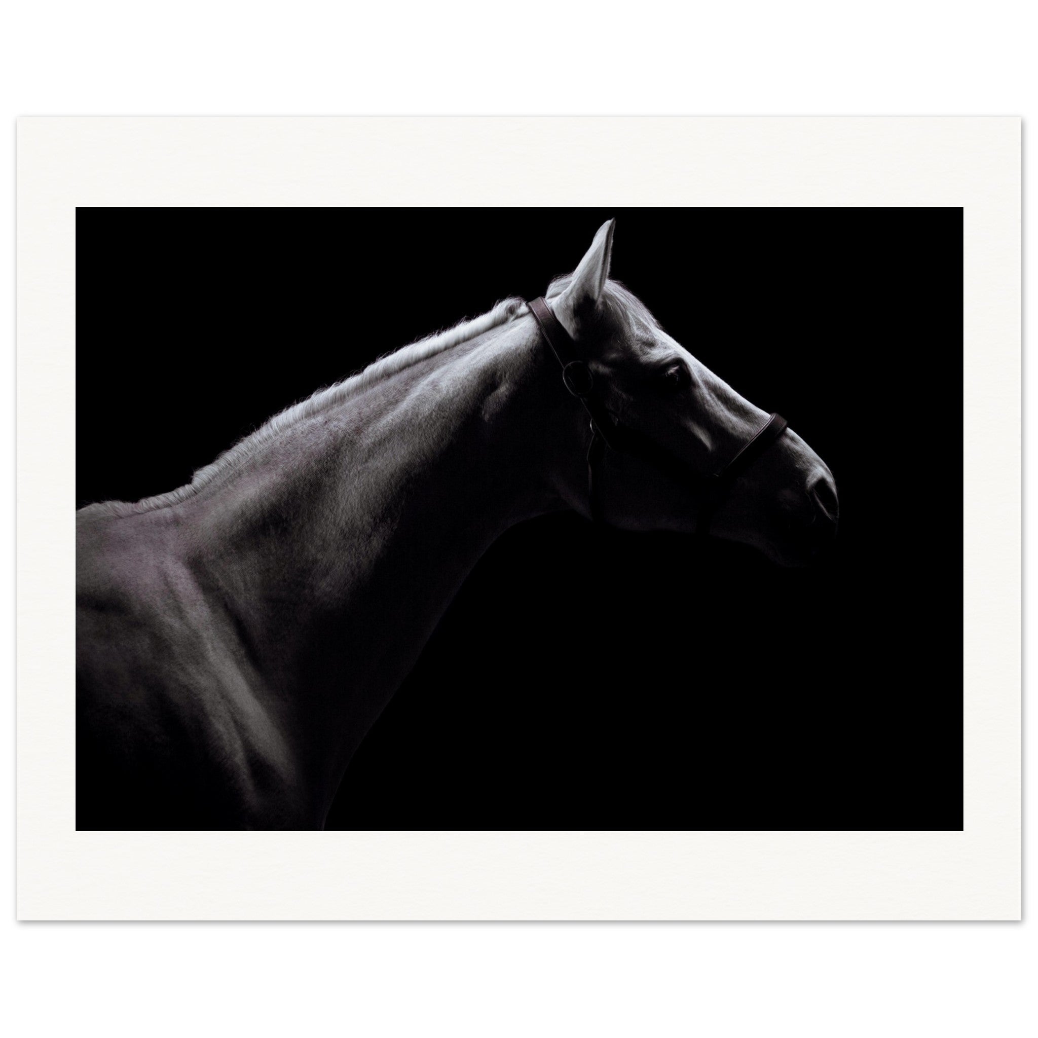 331d7fb2-41fc-499f-943e-36742c389155