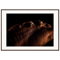 3346970b-a5dd-4c6f-abf8-6b0f739d0590