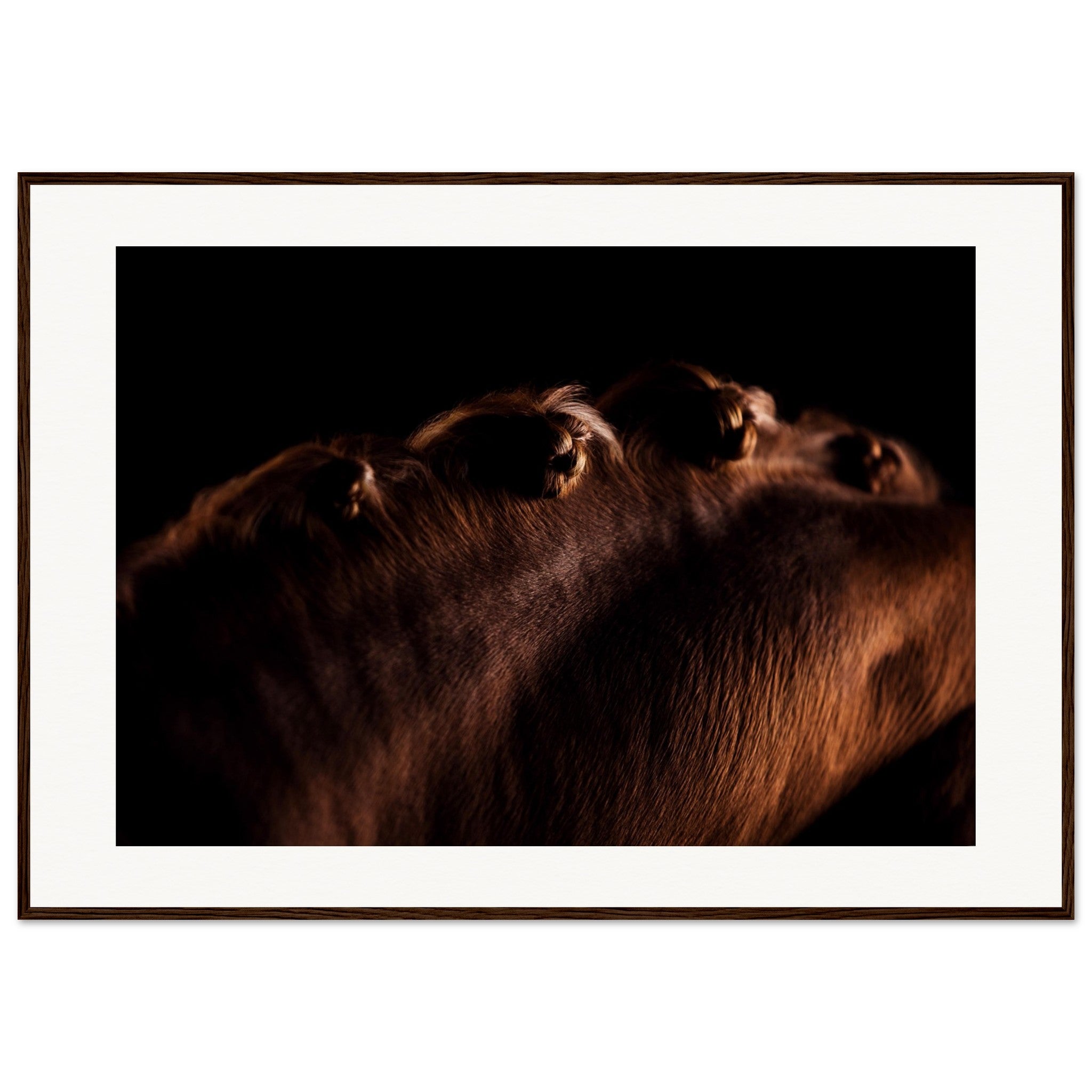 3346970b-a5dd-4c6f-abf8-6b0f739d0590