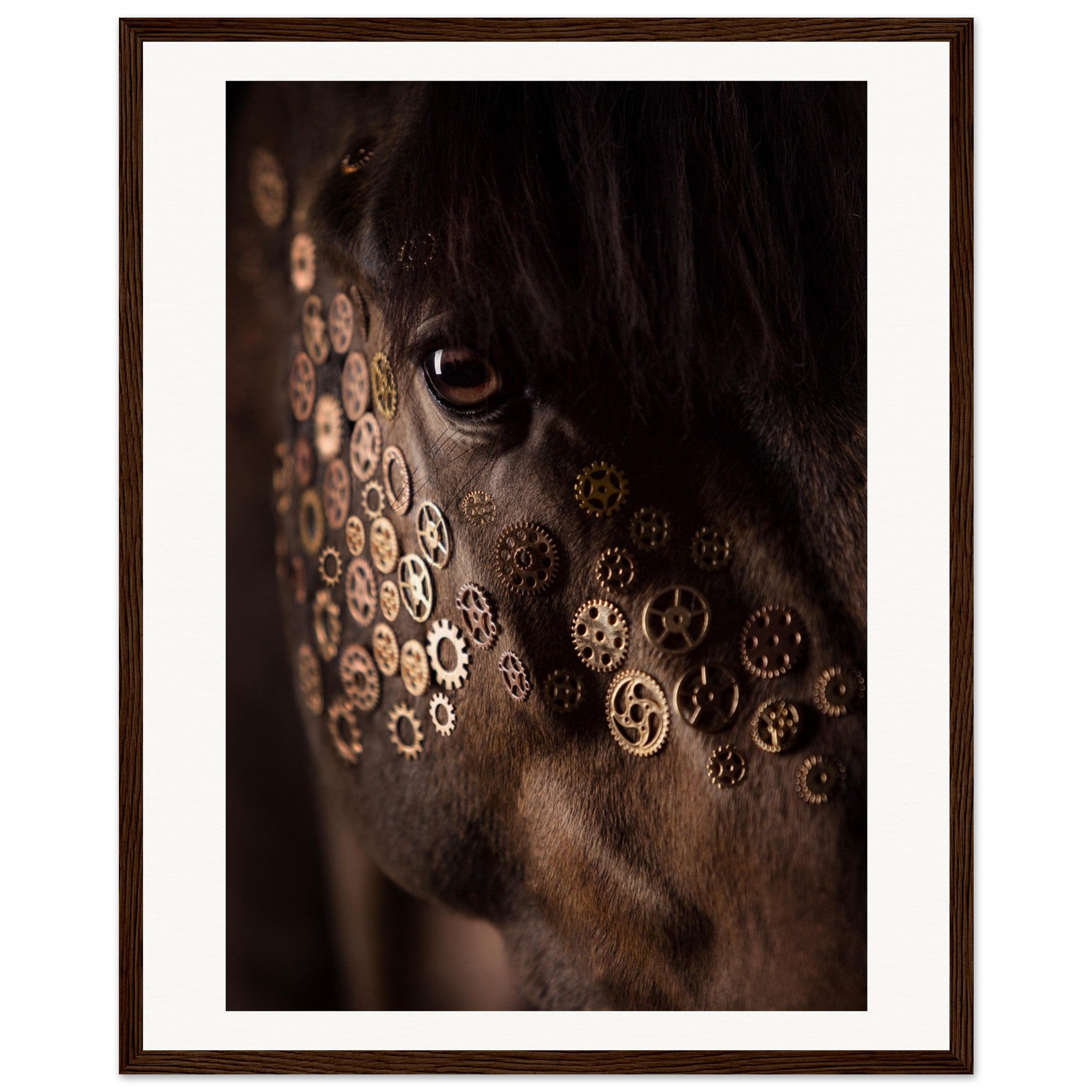 3384c183-f690-401f-8426-c122d133fce3