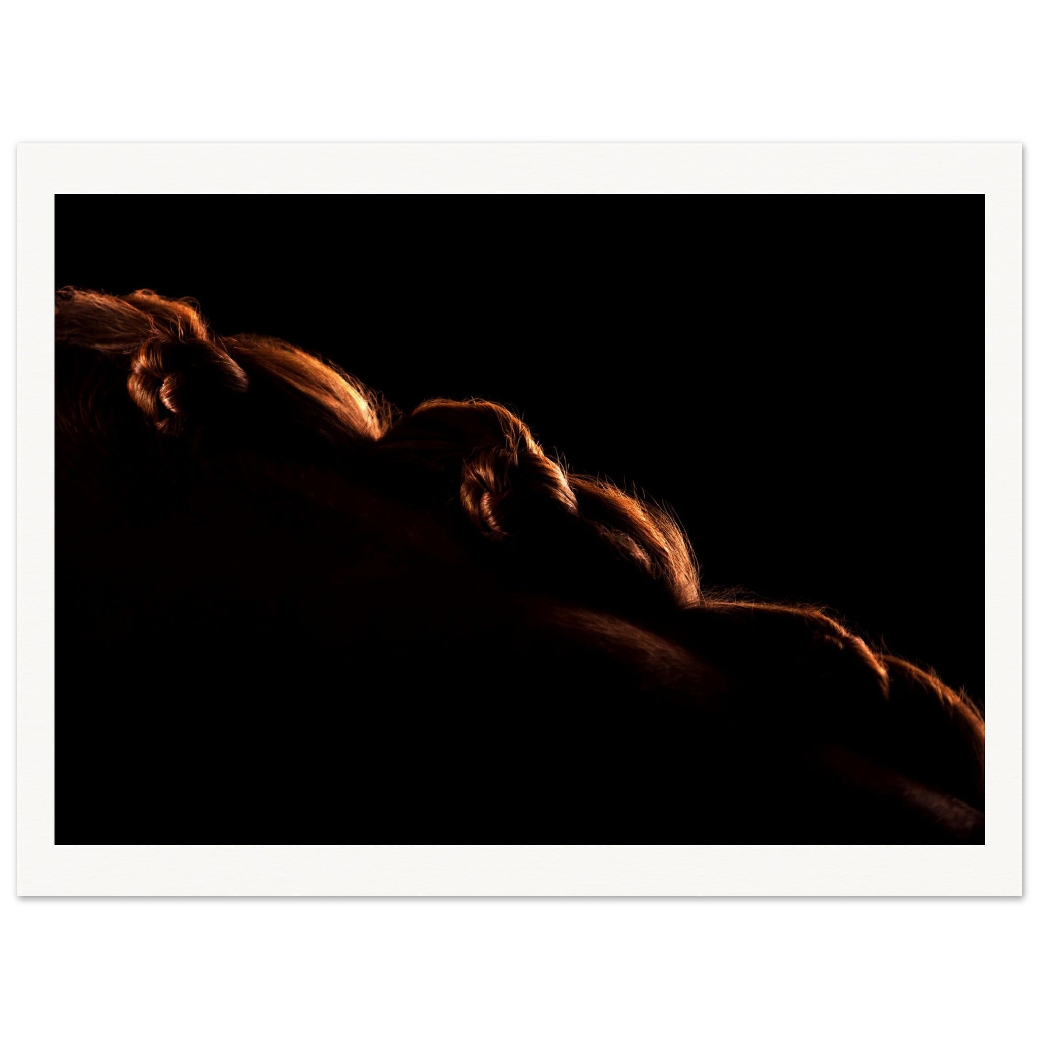 33a9a014-50d0-488a-bc1f-fdf4a1ccb2b2