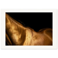 341e3346-cbe9-4ed5-9792-32fd3a3e5e86