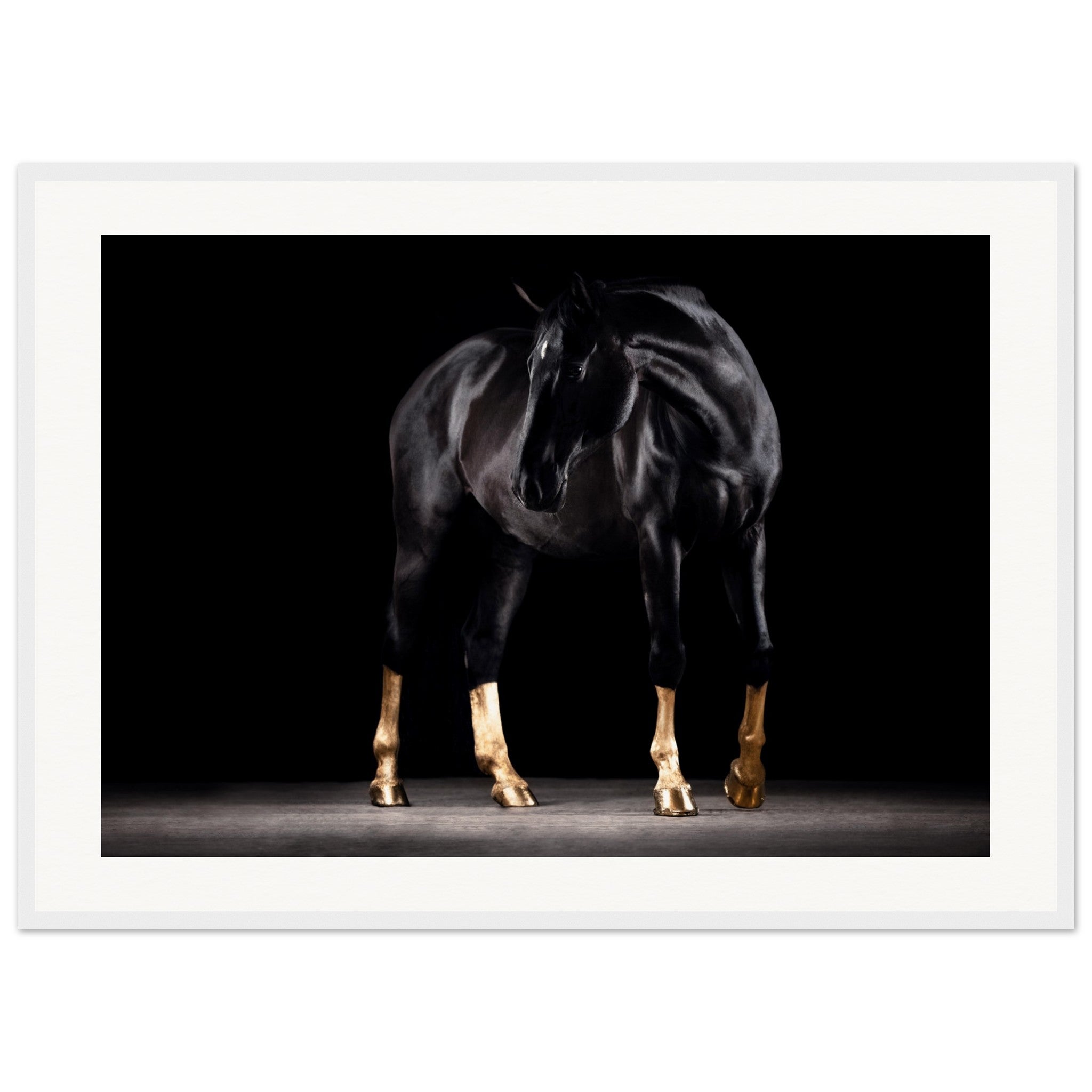 344fa2b4-dfd0-4b14-818d-da9493cf321b