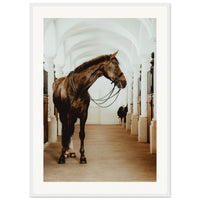 3457fbfd-da47-46b0-8009-310c9e44ca9e