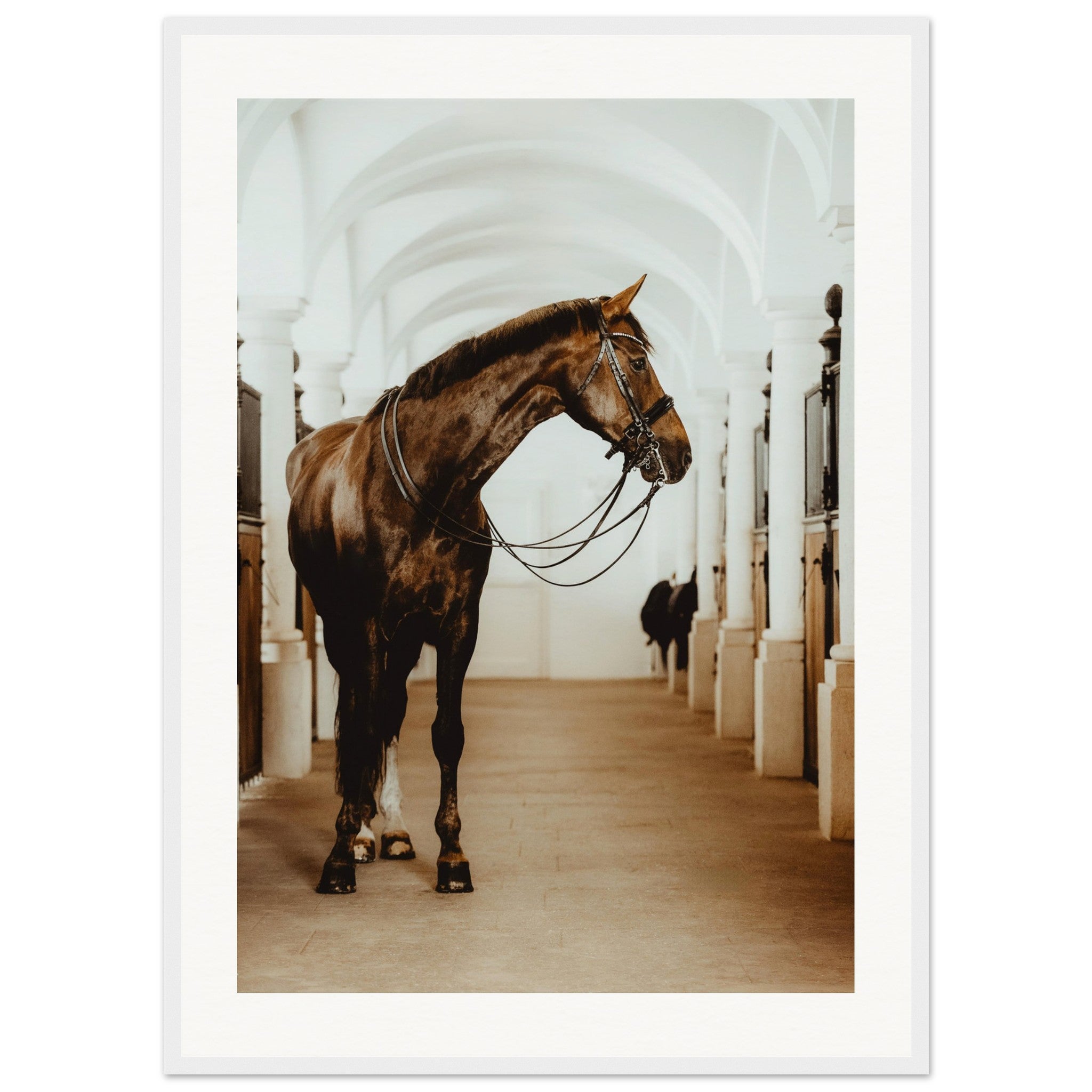 3457fbfd-da47-46b0-8009-310c9e44ca9e