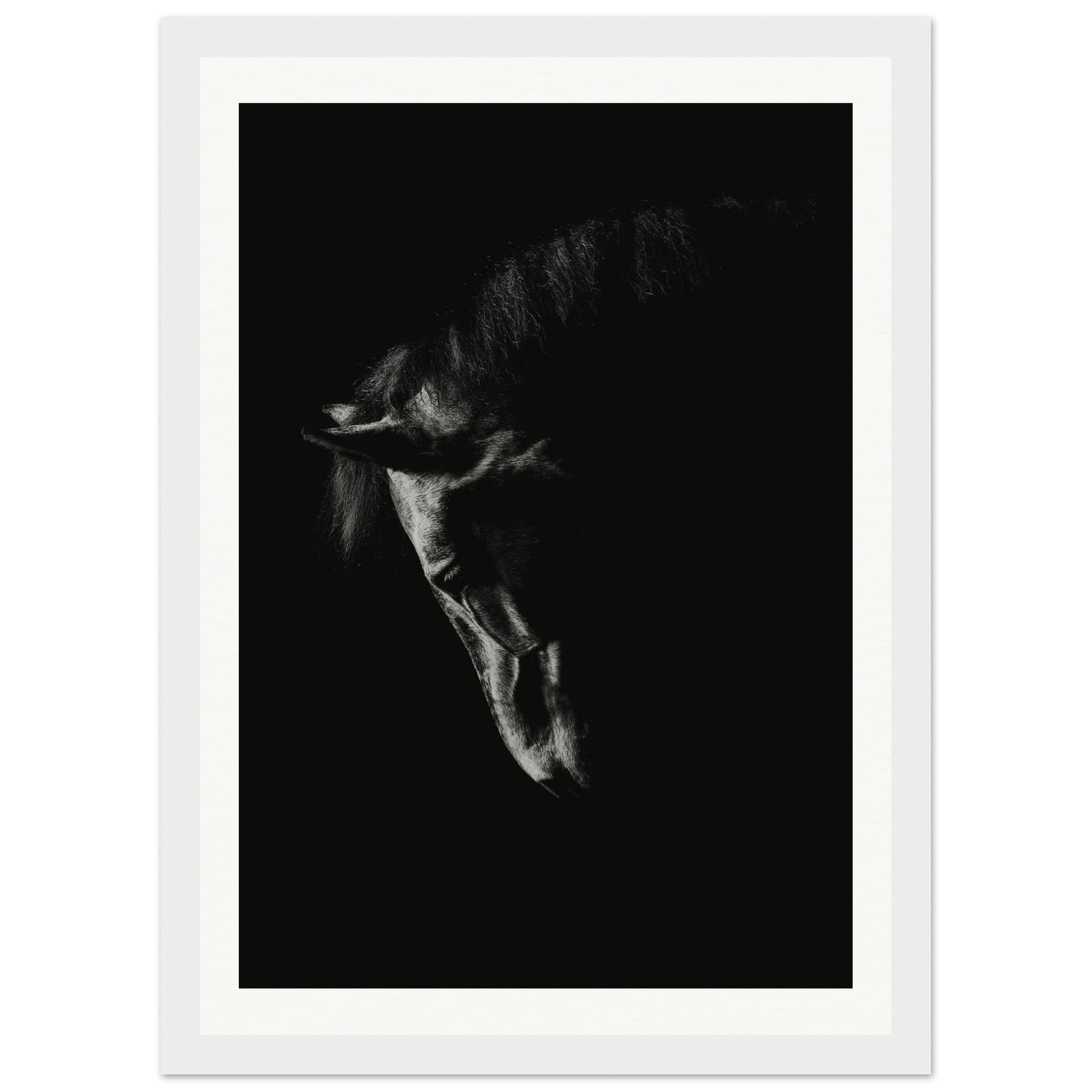 3490475c-e288-4cd9-8efe-e00475d74a1b